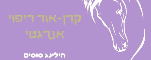 קרן-אור Ray of sunshine