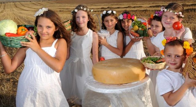 שבועות צפון הנגב